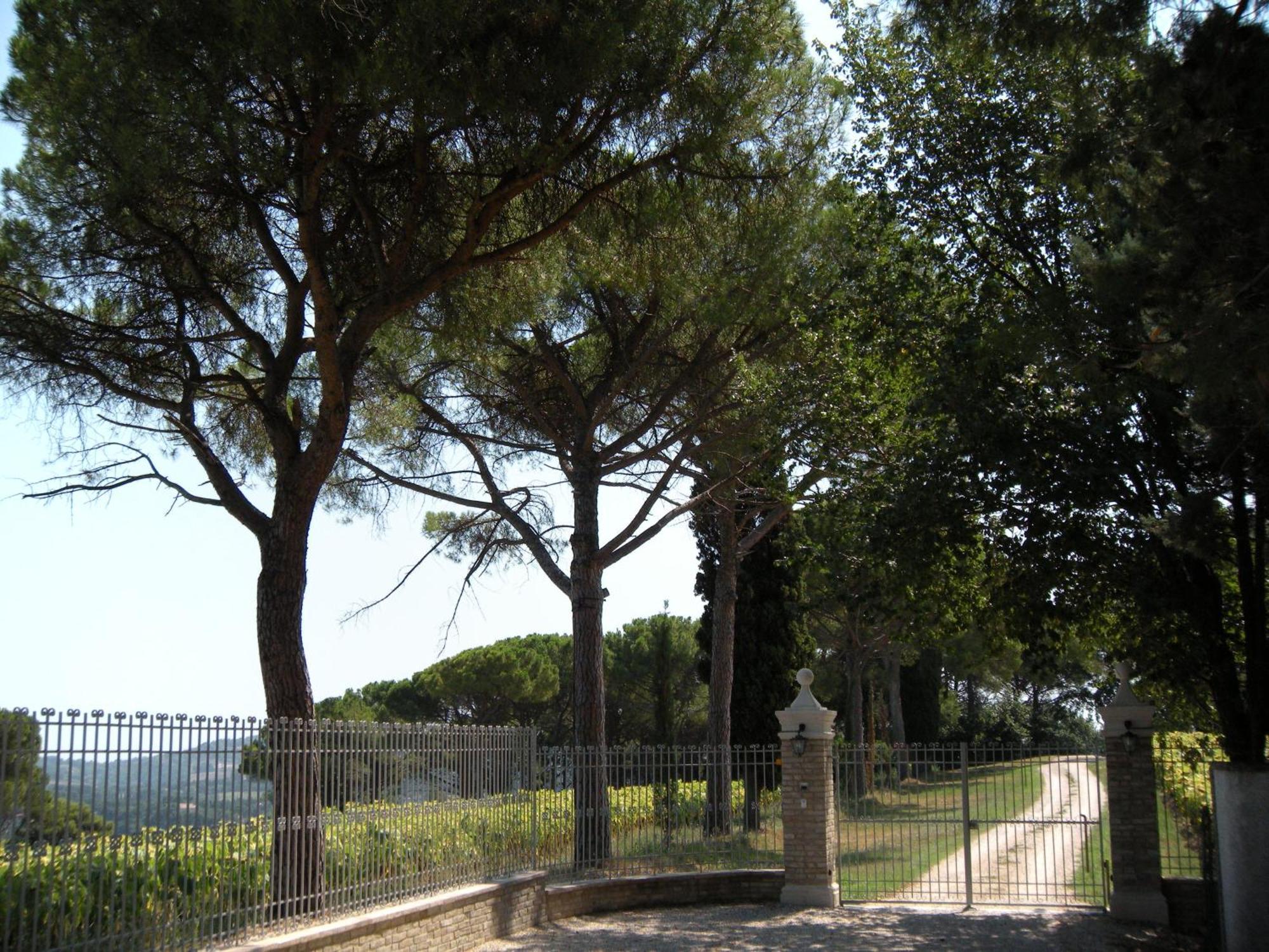 Il Pignocco Country House Santa Veneranda Exterior foto